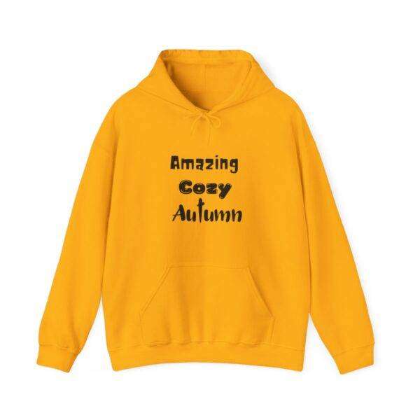 Woman Cozy  Autumn Hoodie - Image 23
